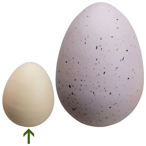 Imagem do produto 4