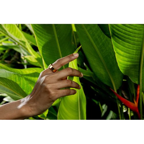 Imagem do produto 5
